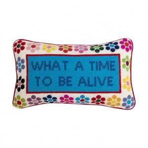 NEW FURBISH STUDIO what a time pillow in luxe red velvet